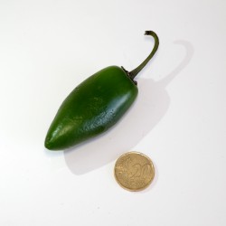10 Semi di Peperoncino Jalapeno piccante