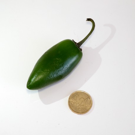 10 Semi di Peperoncino Jalapeno piccante