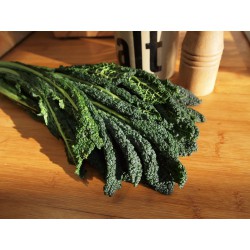 30 Semi di Cavolo nero