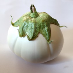 Semi di Melanzana Bianca