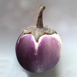 Semi di Melanzana Bianca Sfumata