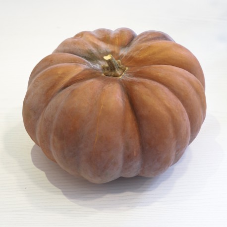 Semi di Zucca Moscata di Provenza