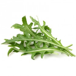 Semi di Rucola Coltivata
