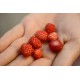 20 Semi di Fragolina di bosco rossa