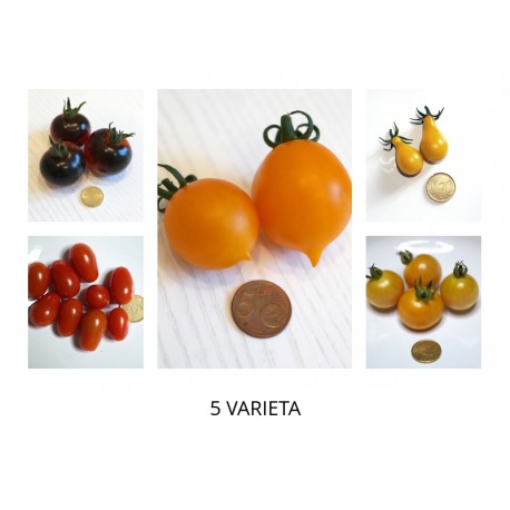 5 varieta